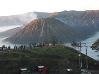 Pelaku Penanam Ganja di Bromo Buka Staf TNBTS, Menhut: Paling Nanam Singkong