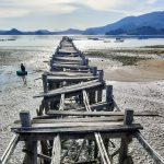 16 Tahun Rusak Parah, Warga Soknar Minta Pemerintah Perbaiki Dermaga 16 Tahun Rusak Parah Warga Soknar Minta Pemerintah Perbaiki Dermaga