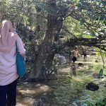 Siswa SDI Pulau Rinca Jalan Kaki 1 Km ke Sekolah, Lewati Pantai-Terancam Komodo IMG-20250502-WA0047