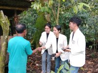 Keuntungan dan Hambatan dalam Beternak Babi di Ruteng Manggarai NTT