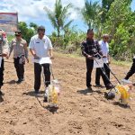 Gunakan Varietas Nusa 01, Polres Mabar Tanam Jagung Kuartal IV di Labuan Bajo
