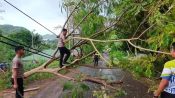 Aksi Cepat Anggota Satlantas Polres Mabar Bersihkan Pohon Tumbang dengan Alat Seadanya