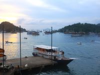 Pariwisata Bahari Labuan Bajo Geliat, 357 Kapal Dapat Izin Layar 