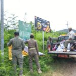 Aksi Satpol PP Mabar Netralkan Sarang Lebah Berbahaya hingga Tertibkan Iklan Liar di 9 Titik