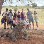 Ata Modo Tolak Batas Pengunjung 1000 per hari di TN Komodo