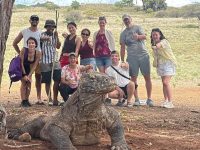 Ata Modo Tolak Batas Pengunjung 1000 per hari di TN Komodo