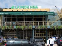 La Moringa: Superfood Labuan Bajo, Kaya Nutrisi dari NTT Lebih Hebat dari Matcha