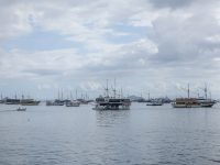 Angin Kencang Gelombang Gelombang Tinggi Ancam Perairan Labuan Bajo, KSOP Batasi Pelayaran