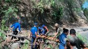 Cegah Bahaya, Satpol PP Manggarai Barat Segera Tebang Pohon Rawan Tumbang