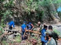 Cegah Bahaya, Satpol PP Manggarai Barat Segera Tebang Pohon Rawan Tumbang