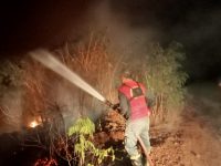 20 Hektare Terbakar di Batu Gosok Labuan Bajo, Api Berhasil Dikendalikan