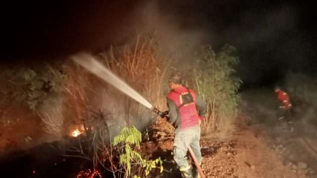 20 Hektare Terbakar di Batu Gosok Labuan Bajo, Api Berhasil Dikendalikan